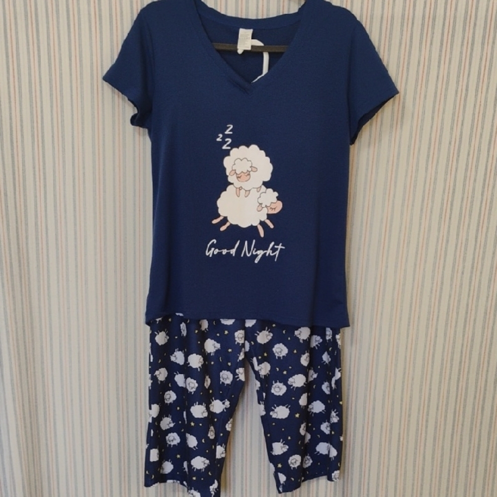 Blue With Sleepy Sheep Pajama Set  M